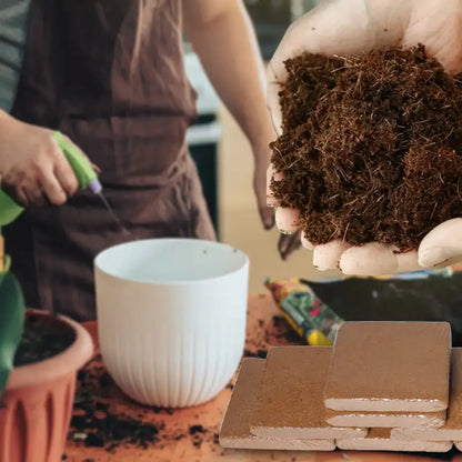 CoCoGrow Organics: Pure Coconut Coir for Plants